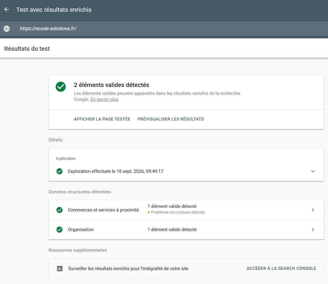 Test de résultats enrichis Google pour ecode-solutions.fr : 2 éléments valides détectés, Commerces et services à proximité et Organisation